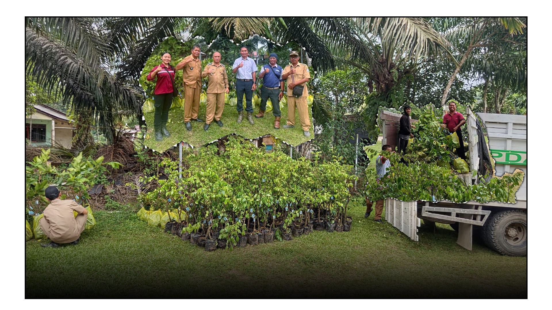 pembuatan-tembawang-untuk-masa-depan-kecamatan-jelimpo-tindaklanjuti-arahan-bupati-landak